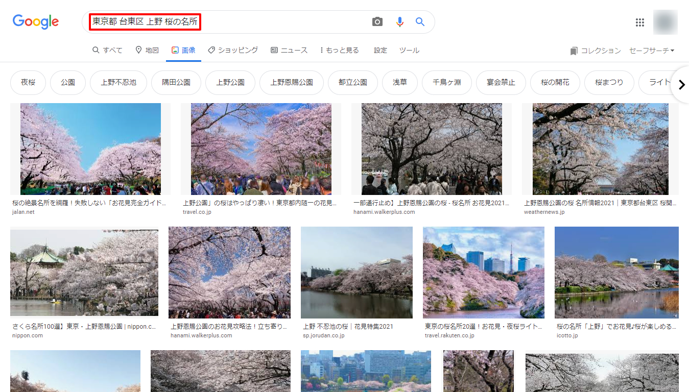 東京都-台東区-上野-桜の名所-Google-検索.png