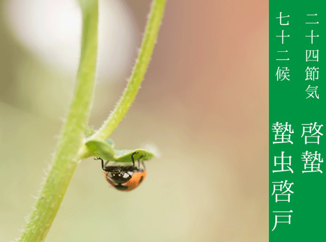 蟄虫啓.png