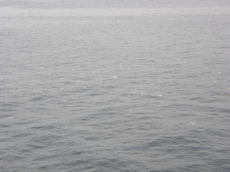 PA180417.JPG