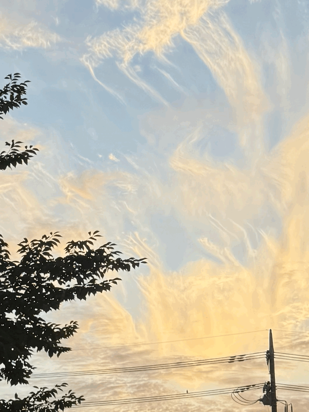 tempImage6LsR2w.gif