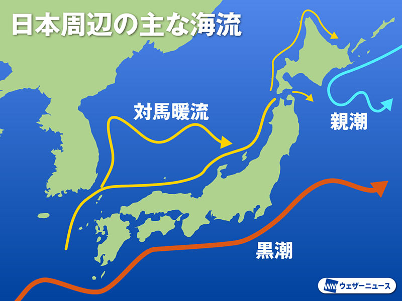,黒潮の大蛇行その他.jpg