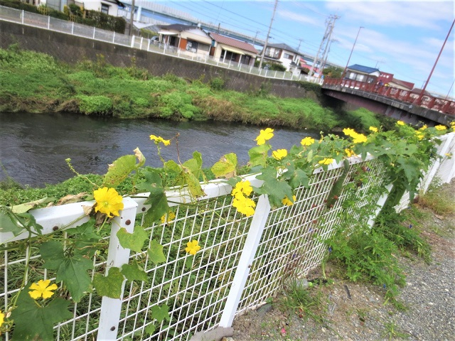 202610寒川13.jpg
