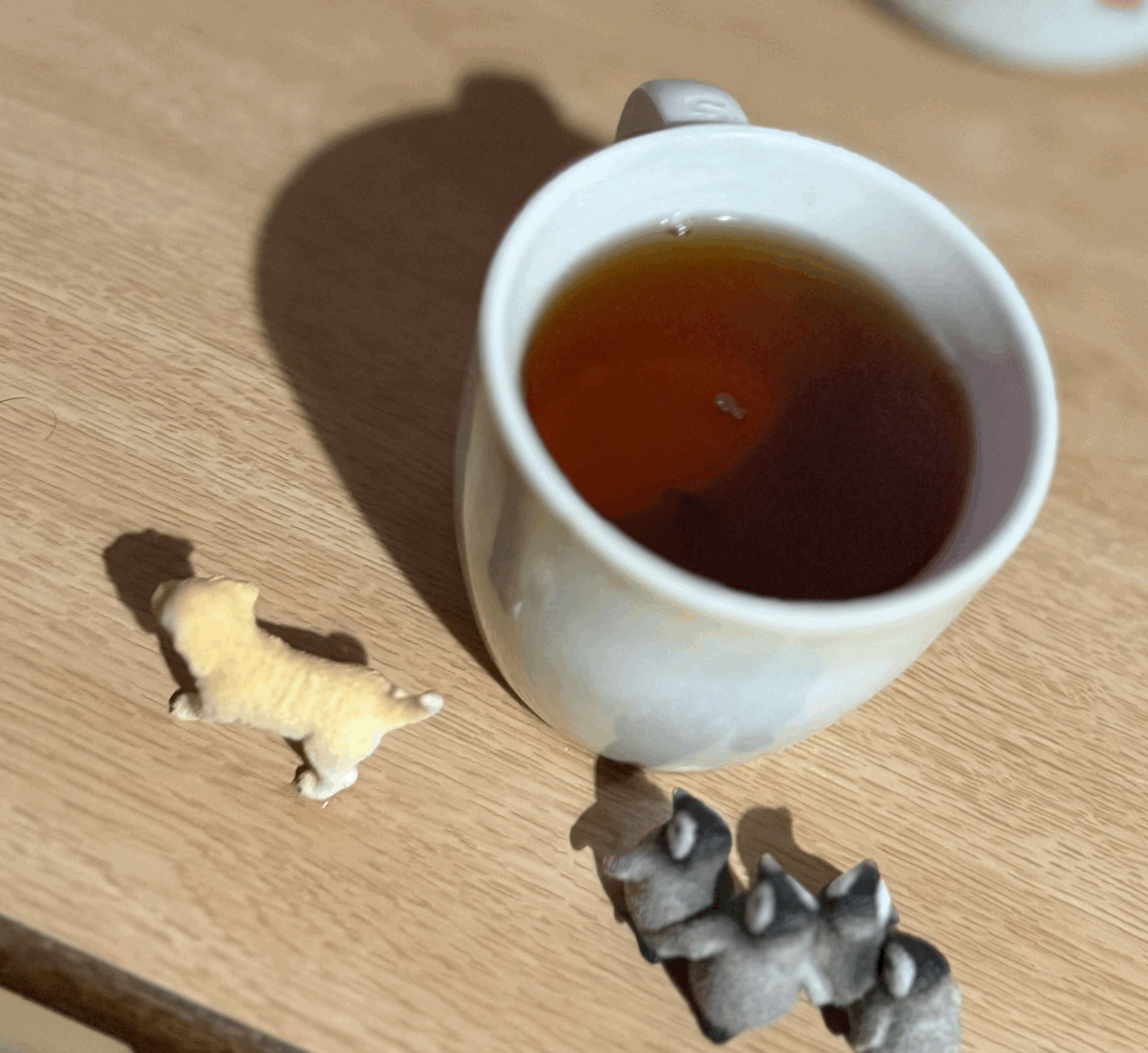 tempImageMTAgFK.gif
