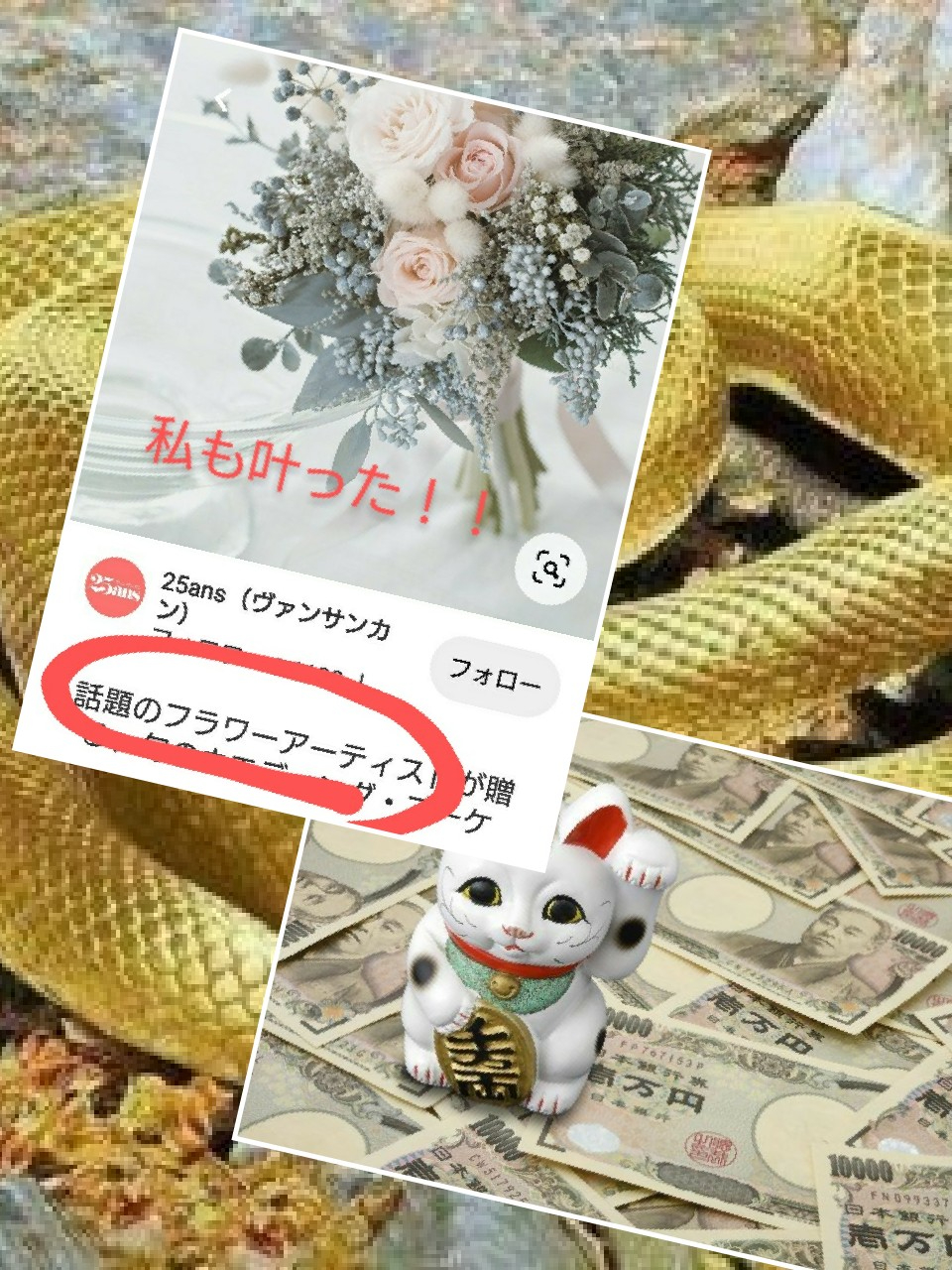 collage-1643803625382.jpg
