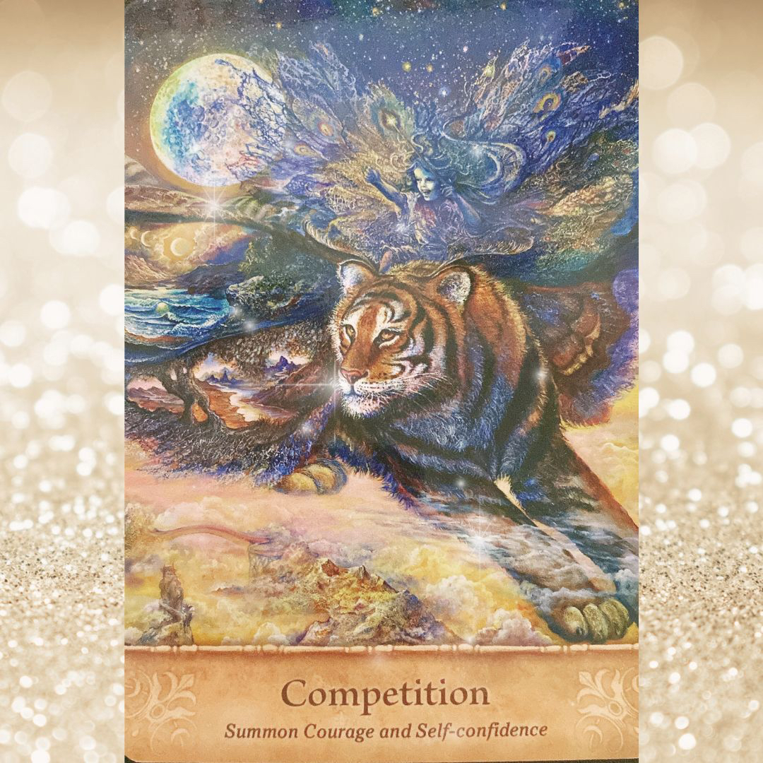Competition.jpg