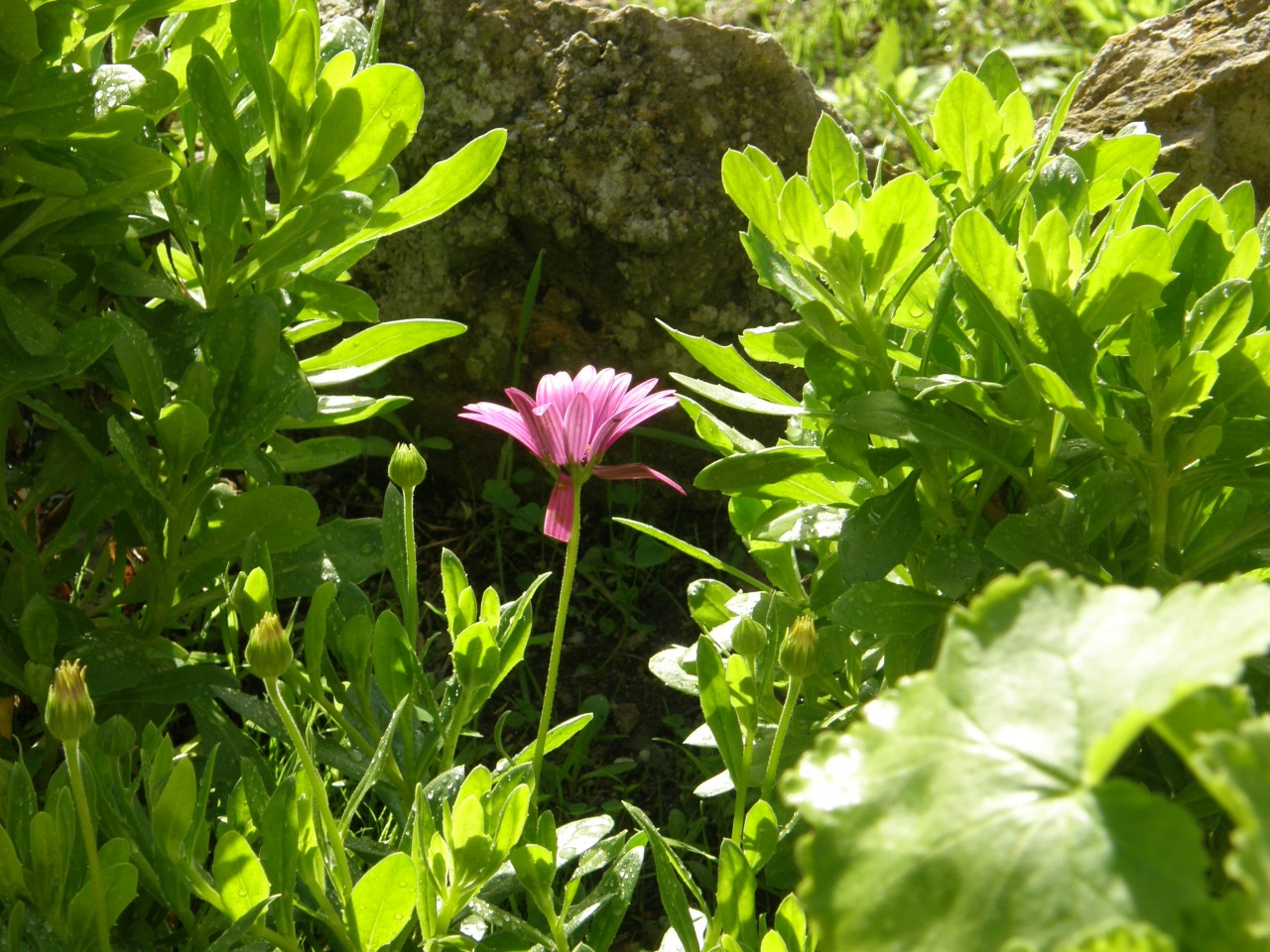 P1261541.JPG