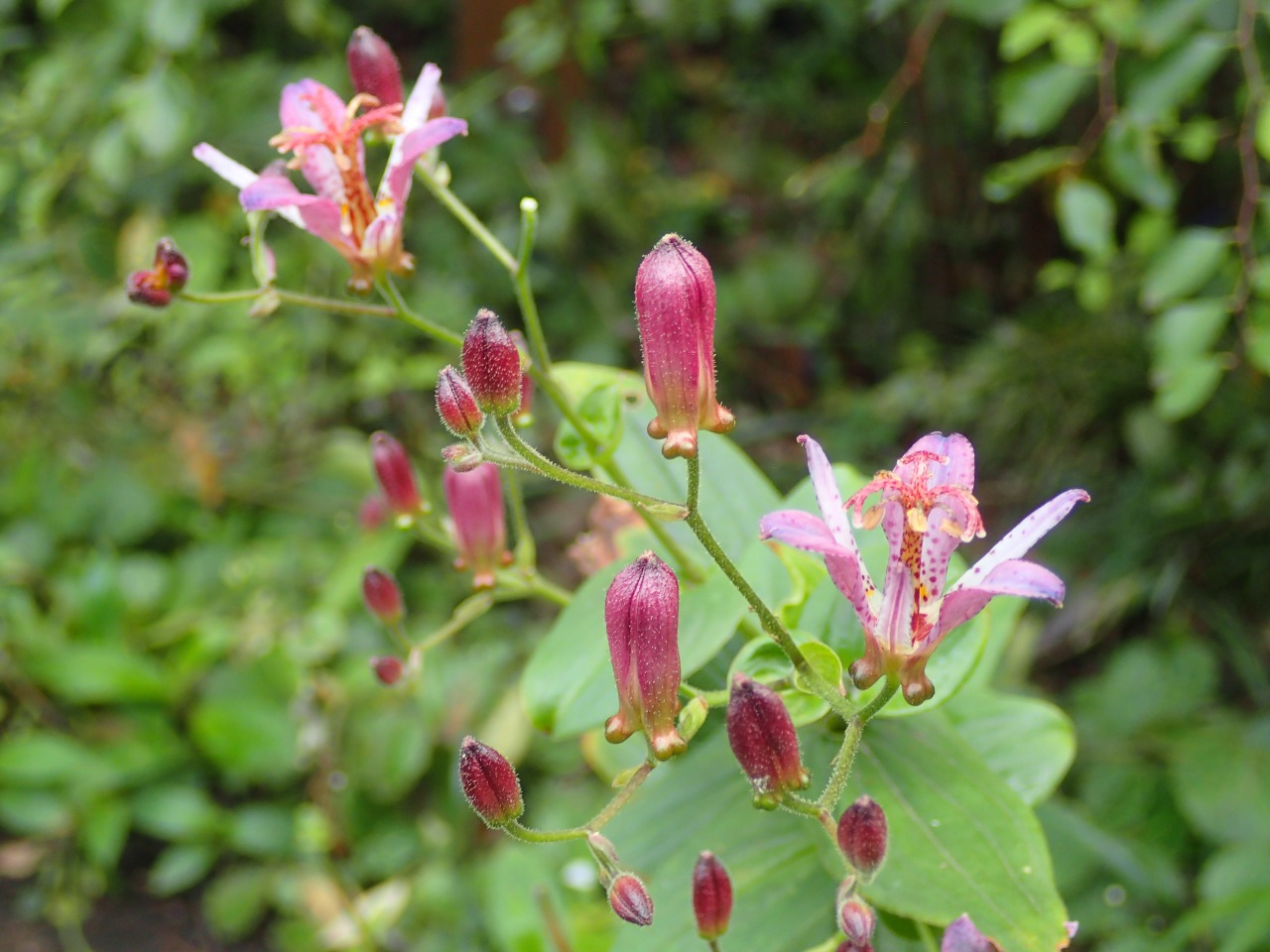 PA120254.JPG
