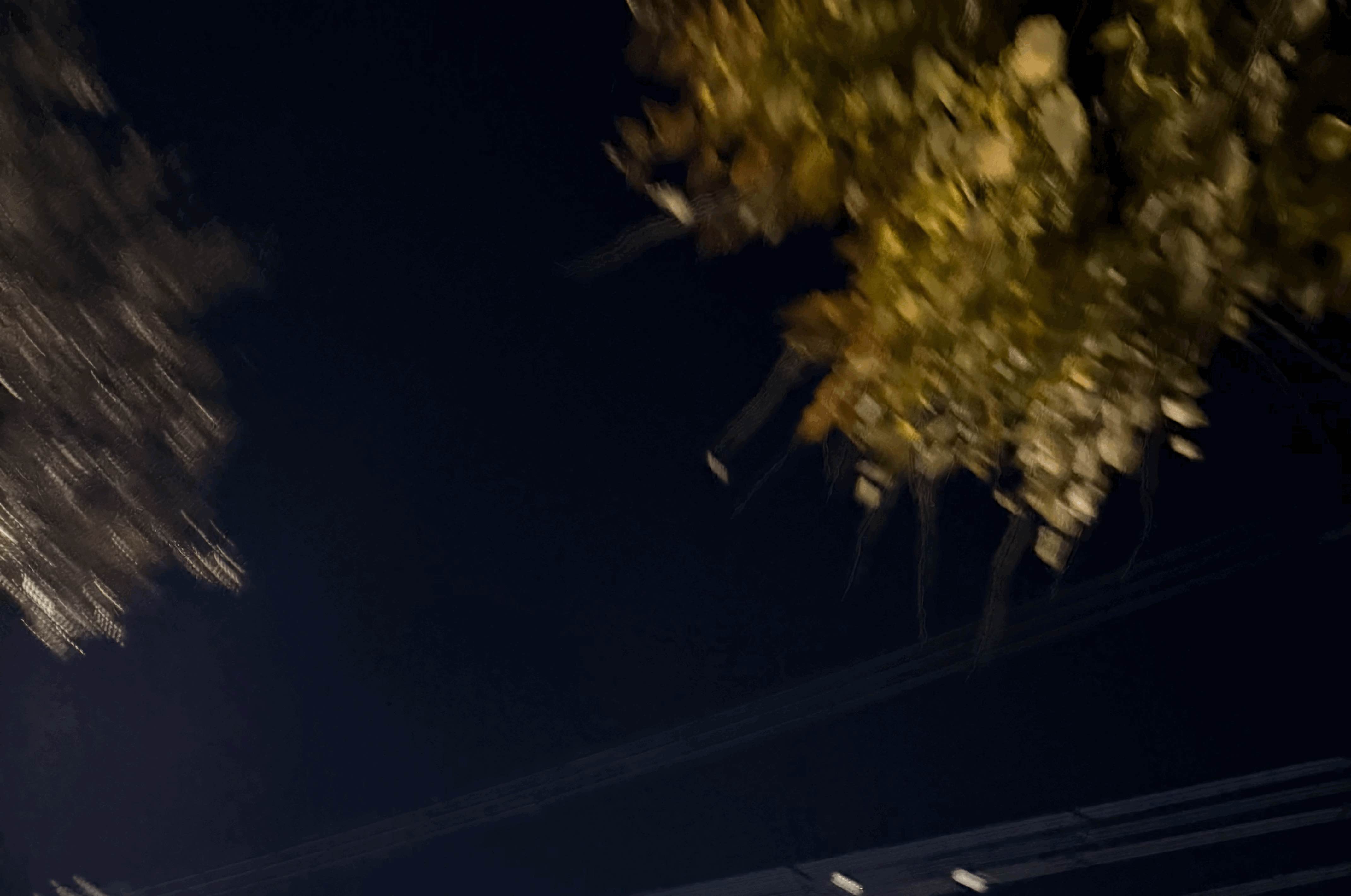 tempImagen3LeGl.gif