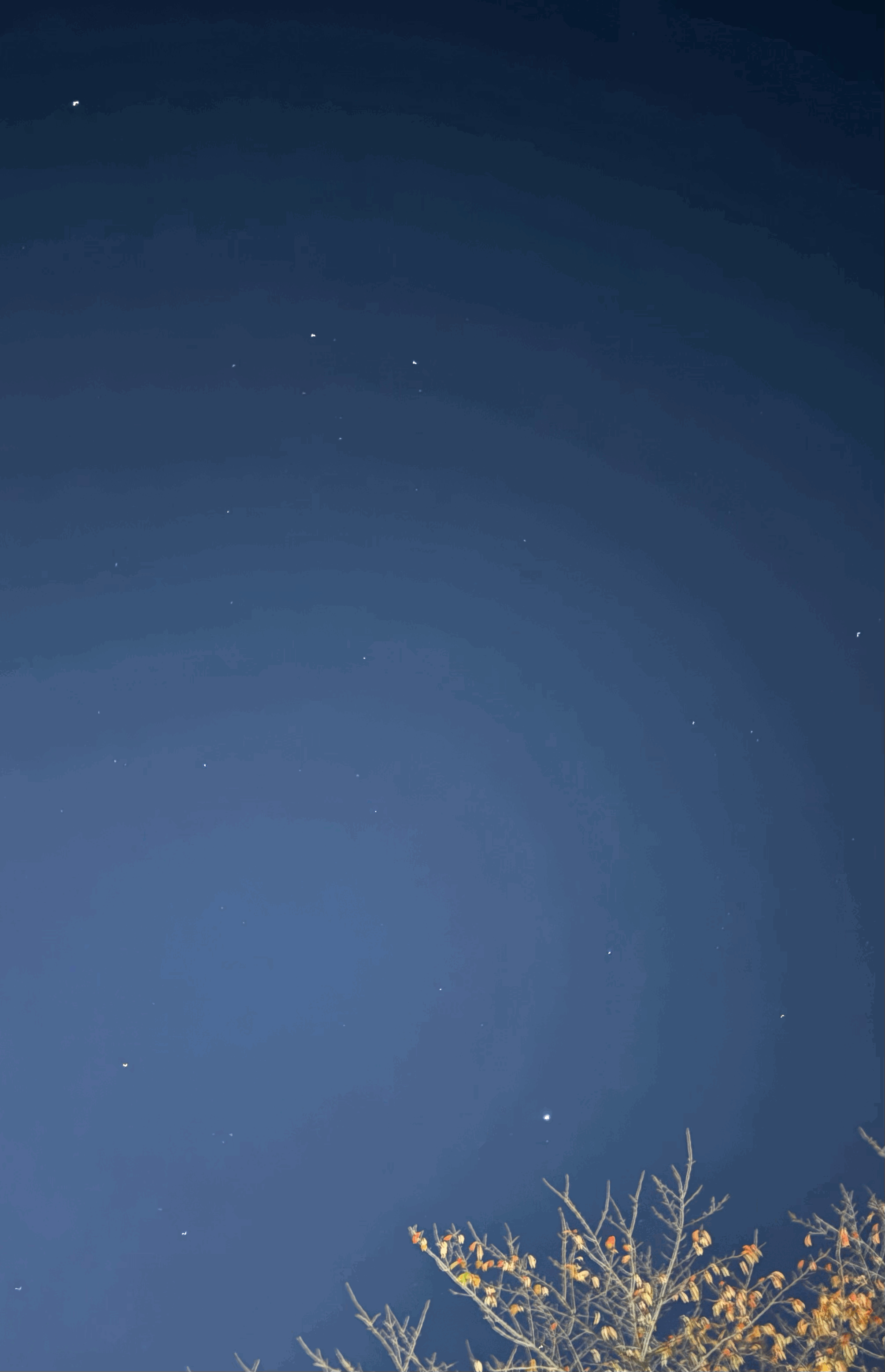 tempImageoA1qV4.gif
