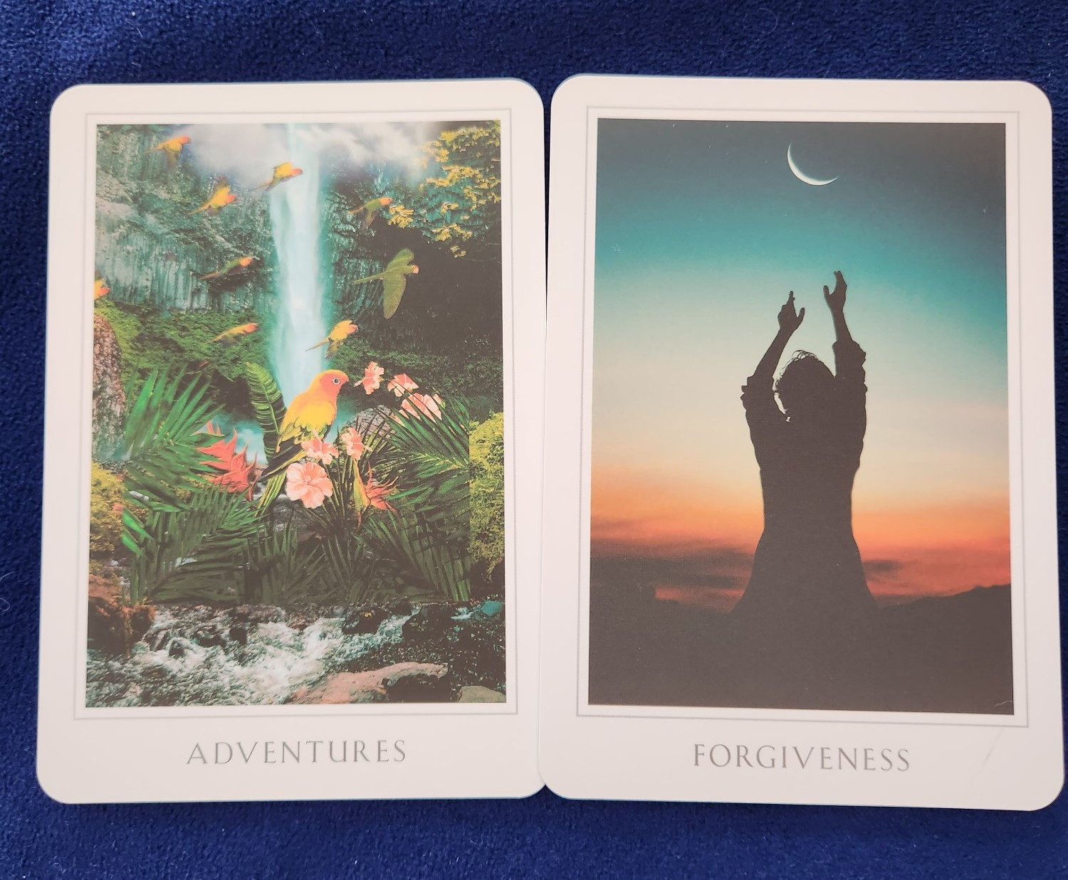 20231022_113114 (002).jpg