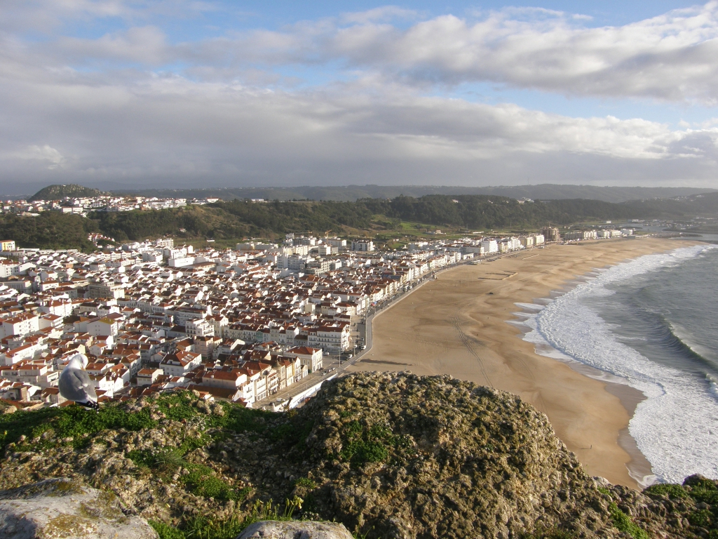 P1261380.JPG