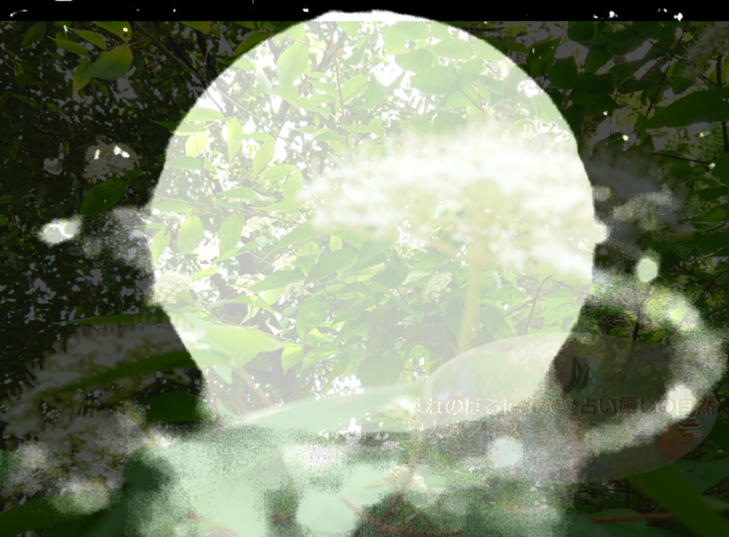 sketch-1650006171915.png