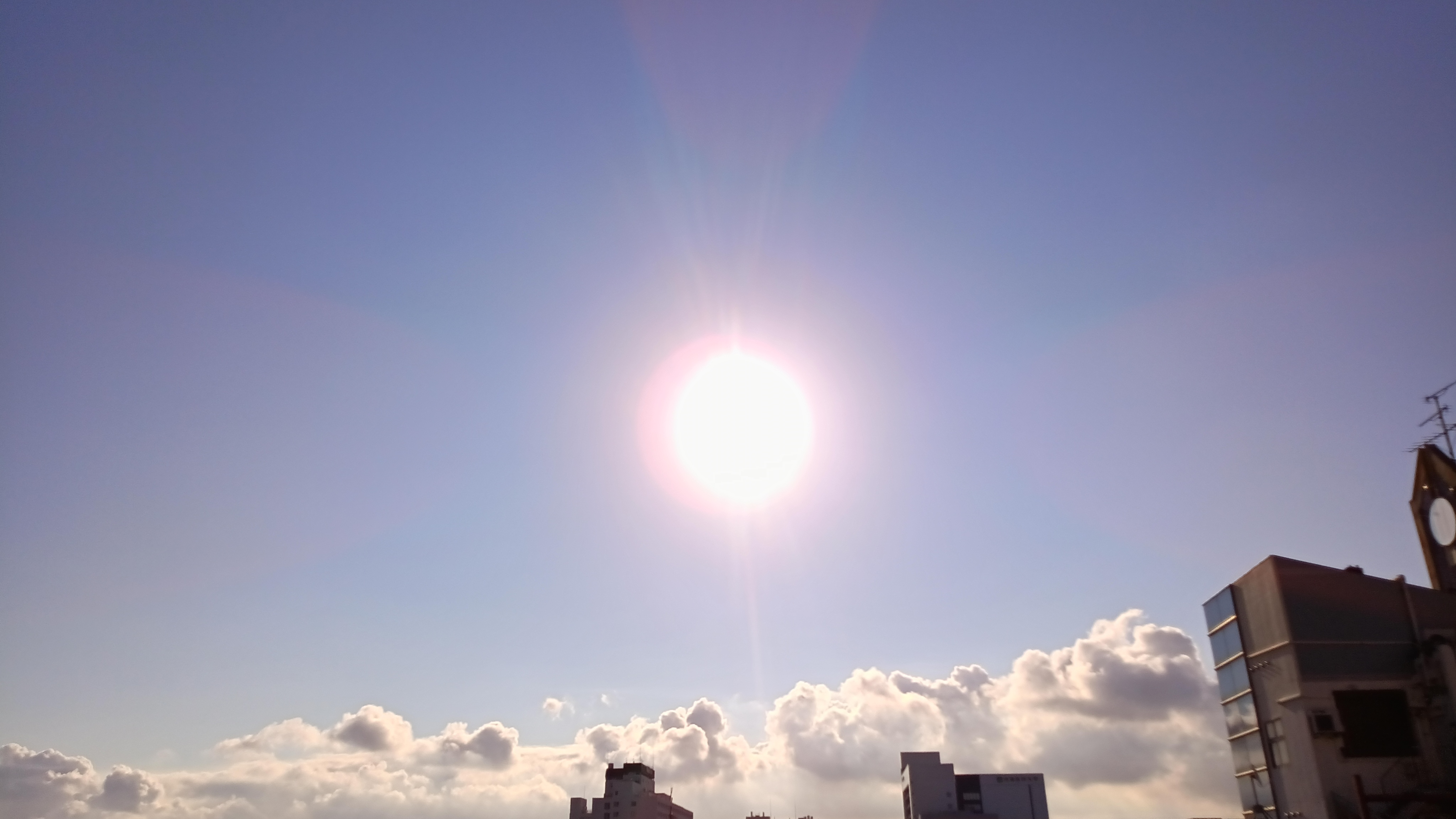 IMG_20240913_073453_248.jpg