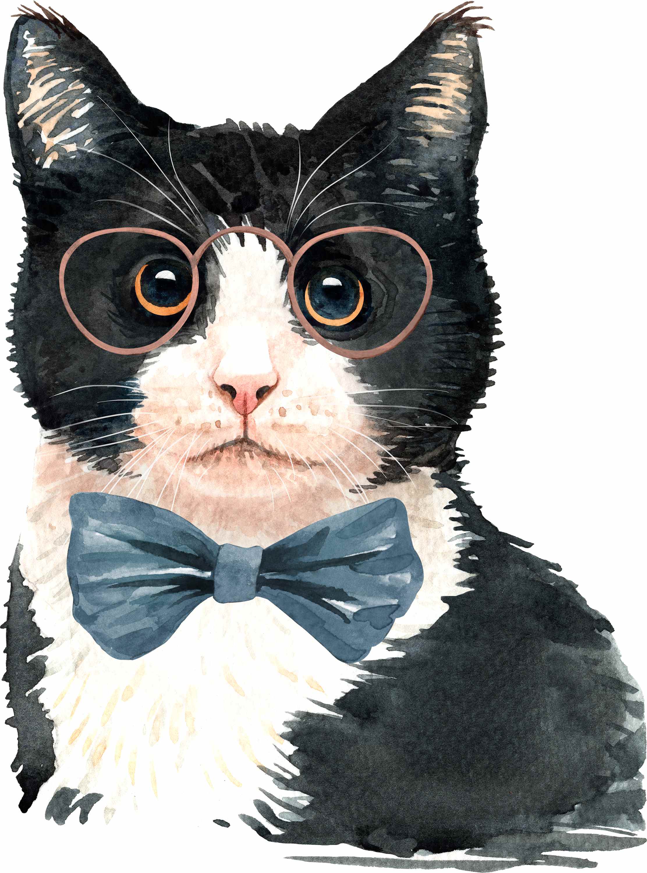 cat_glass.png