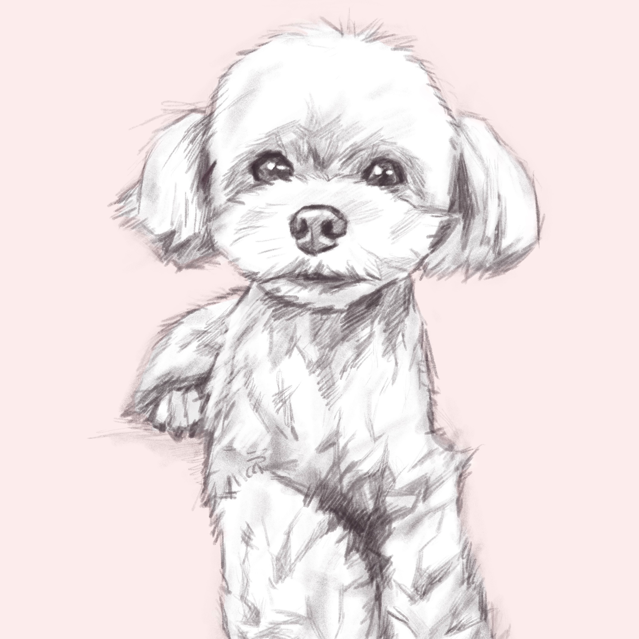 名称未設定のアートワーク 2.jpg