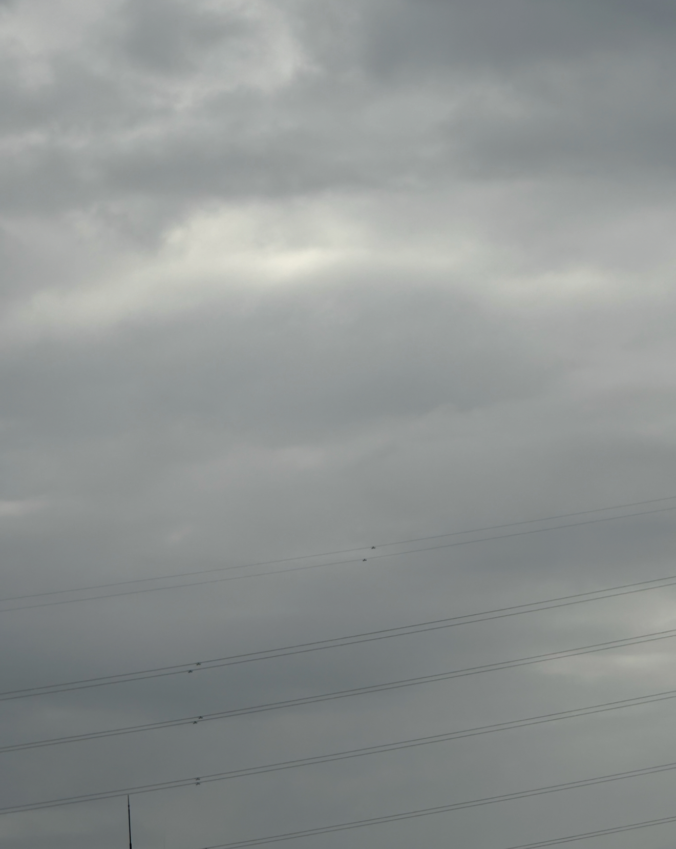 最新の写真を表示 7.png