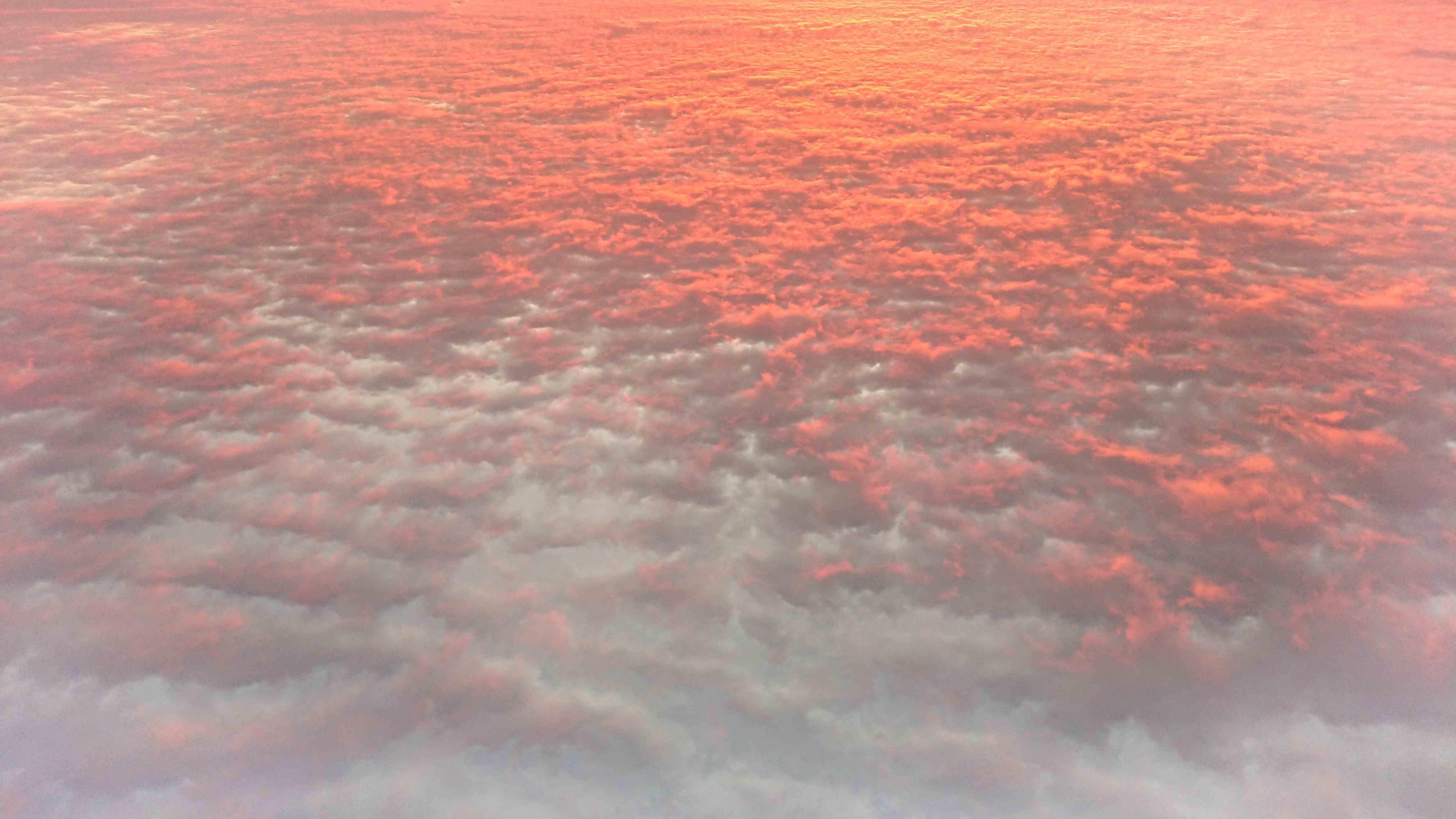 _20240715_115102.JPG