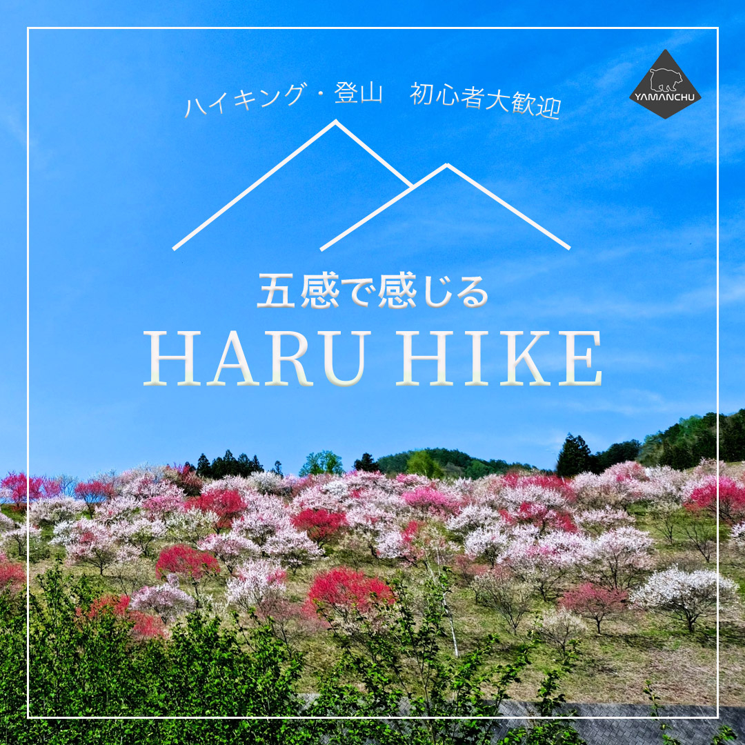 HARU-HIKE4.jpg