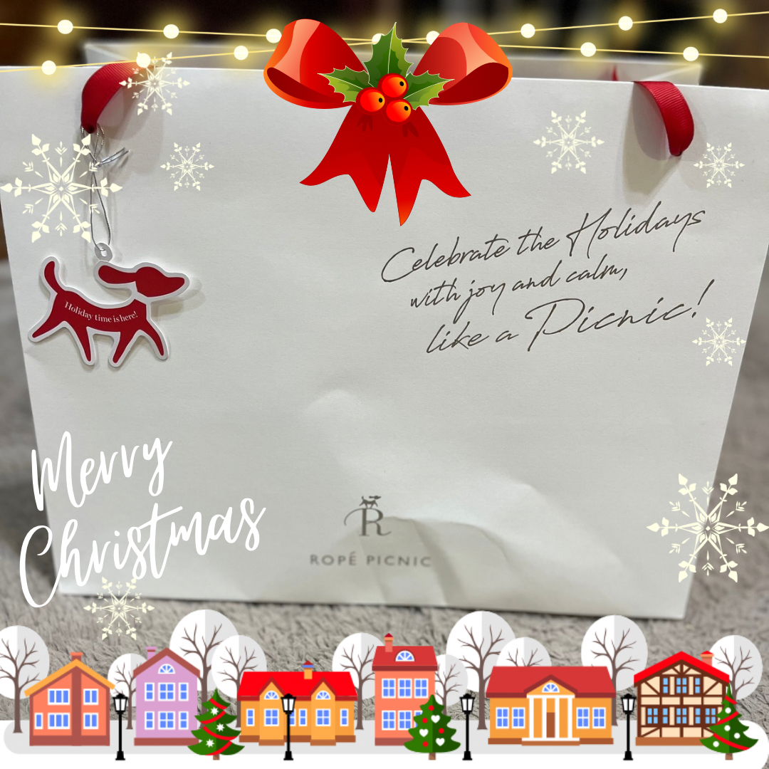 Red and White Illustrative Snow Merry Christmas Greeting Instagram Post.PNG