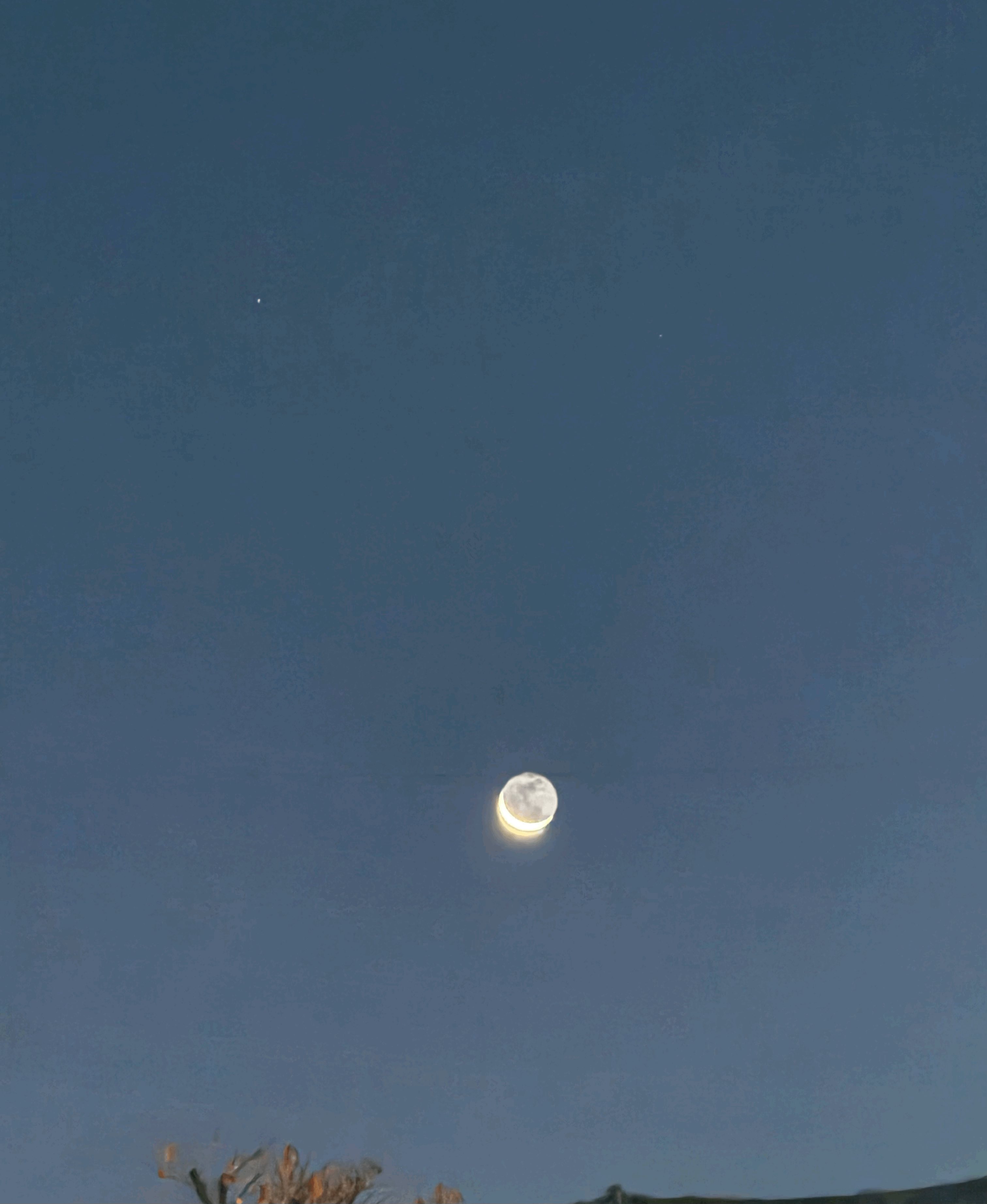 tempImageasczO0.gif