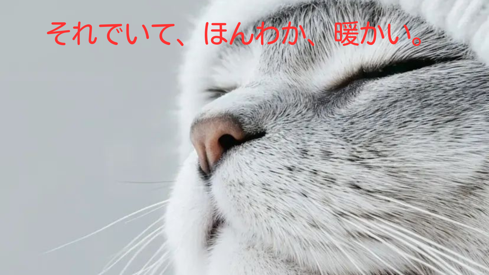【2026年 宣言】②.png