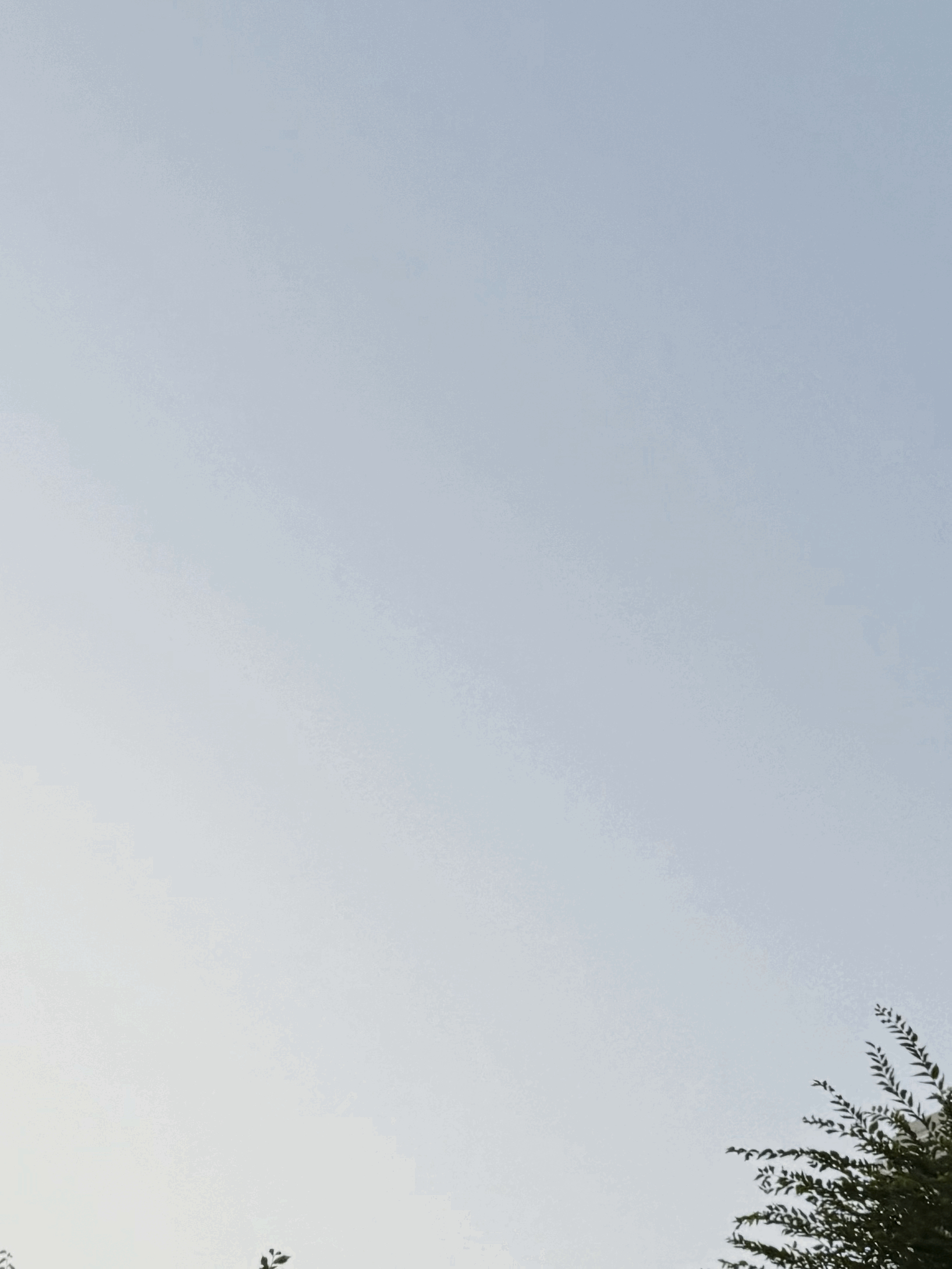 tempImageHn3jNR.gif
