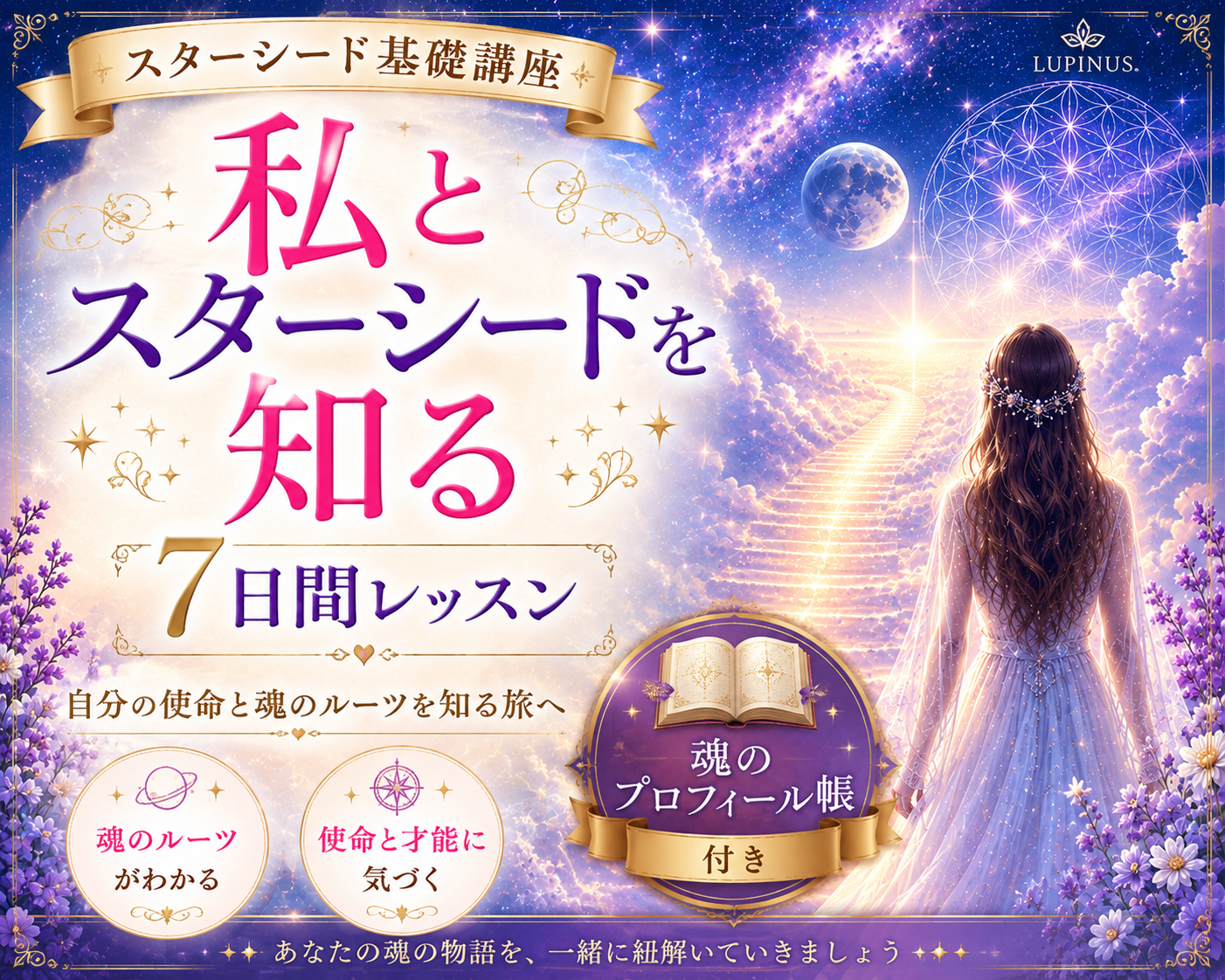 スターシード講座基礎入力コース.png