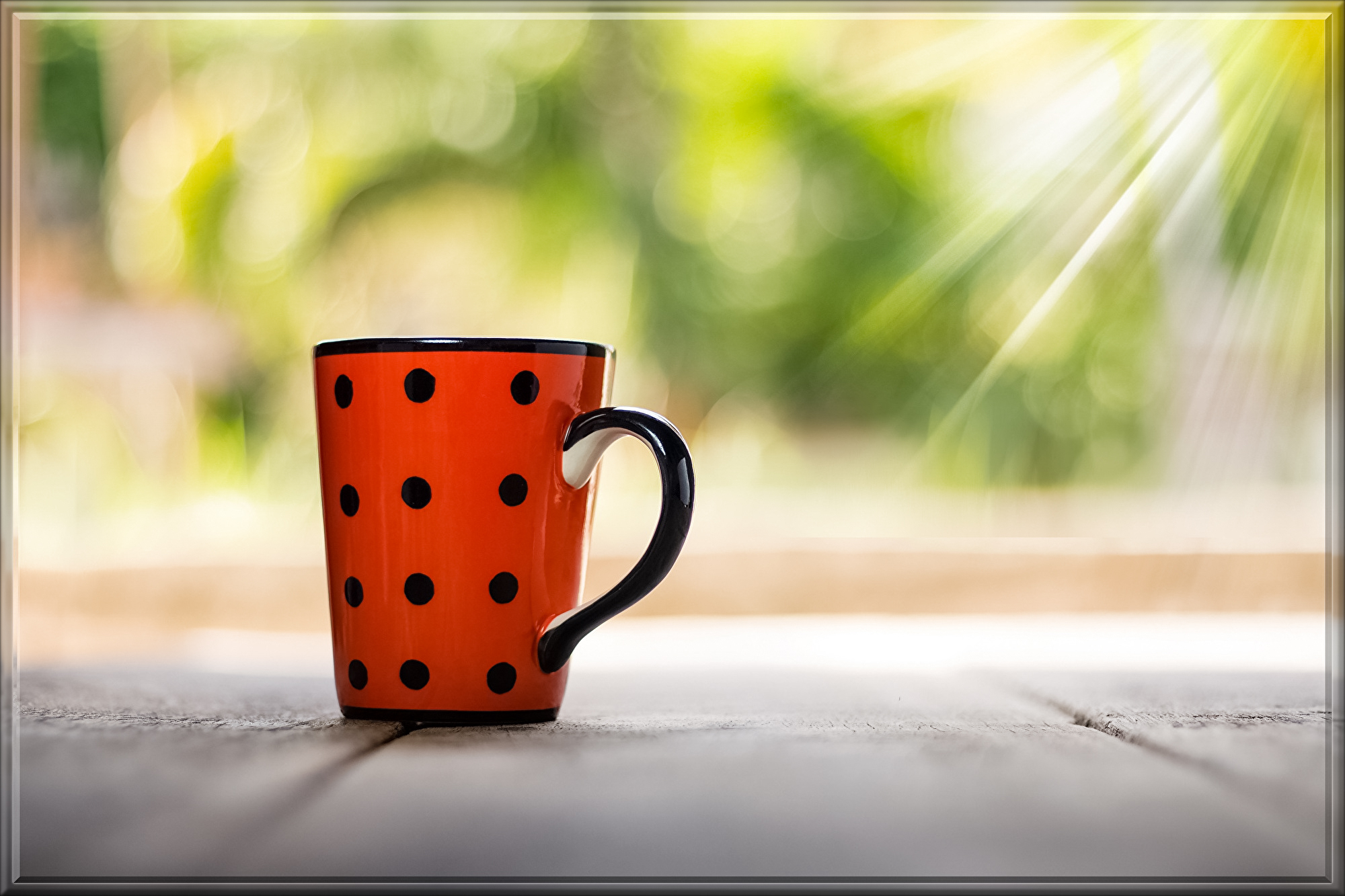 cup-2315563.jpg