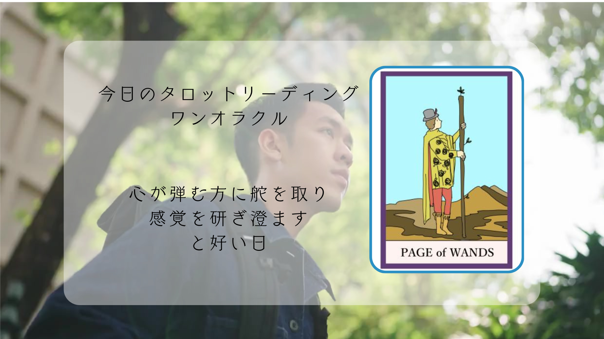 2025.12.12 ワンドのペイジ.png