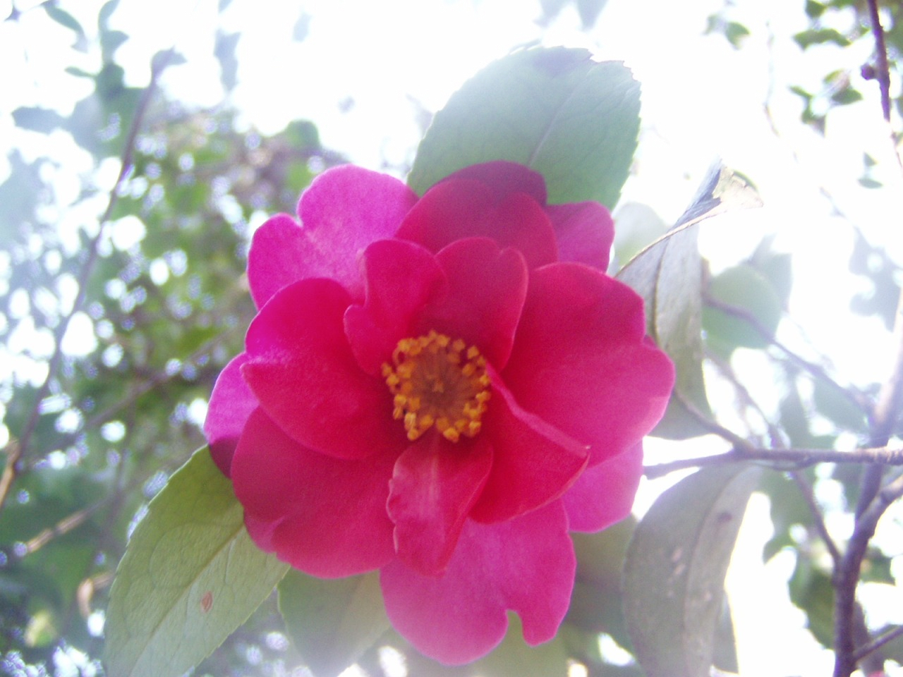 P1010087.JPG