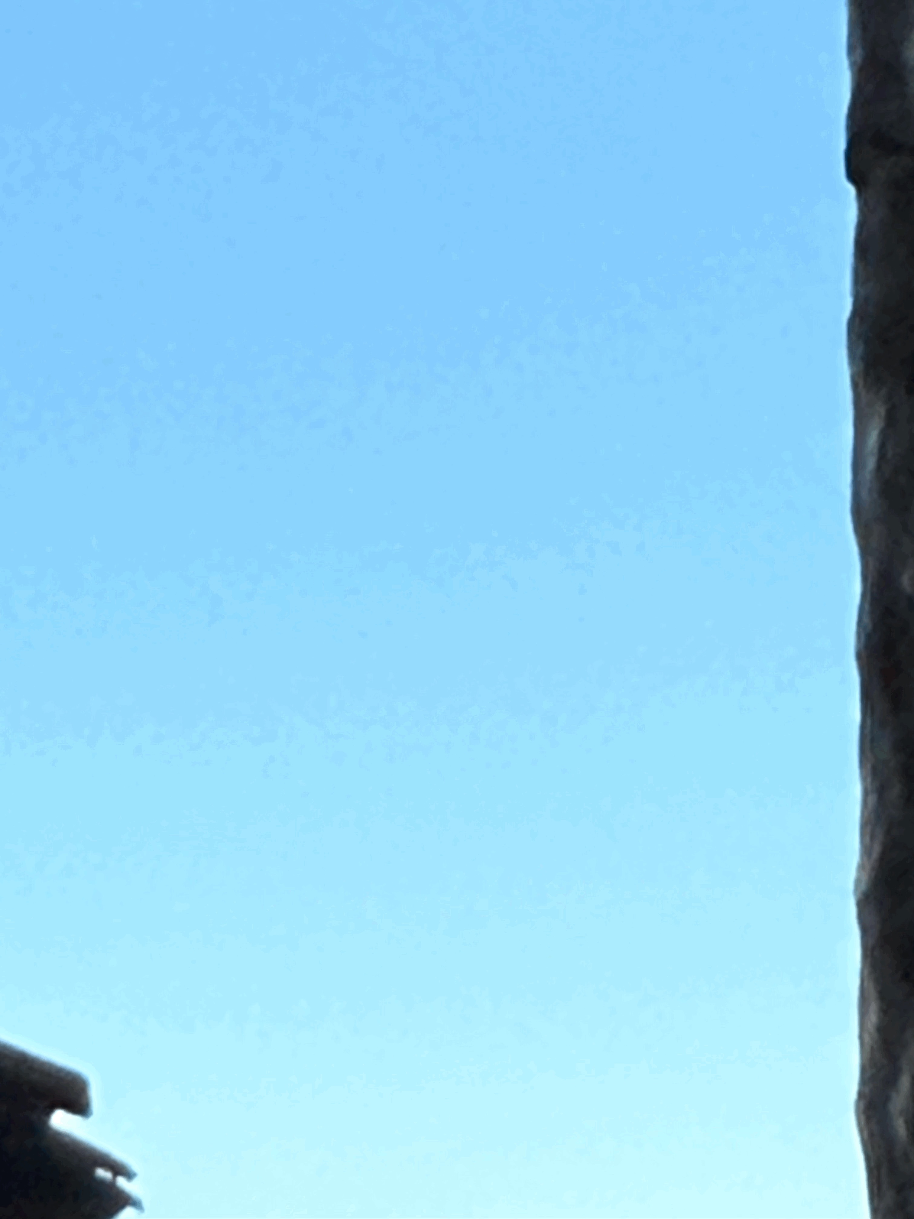 tempImages69kGA.gif