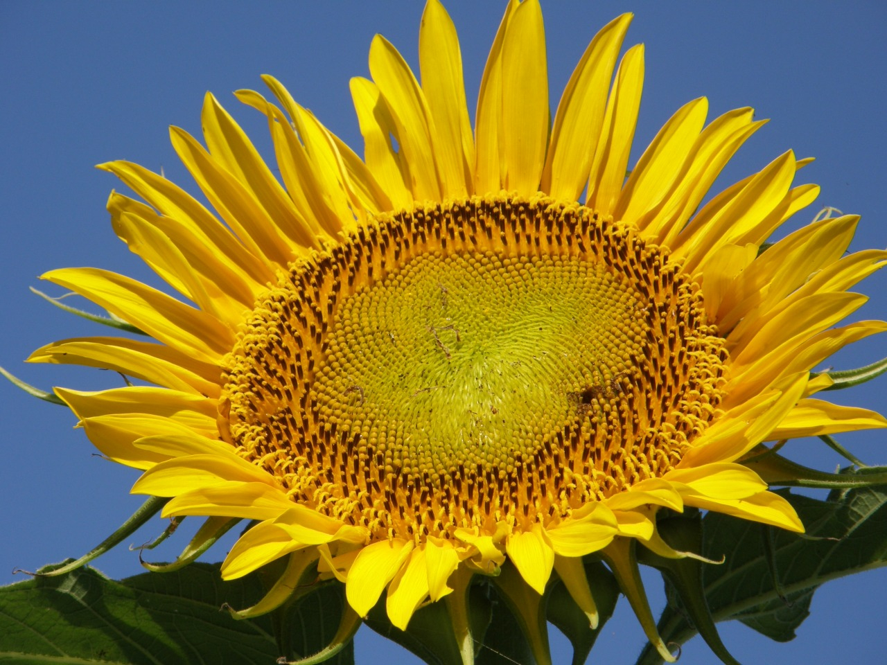 P7300002.JPG