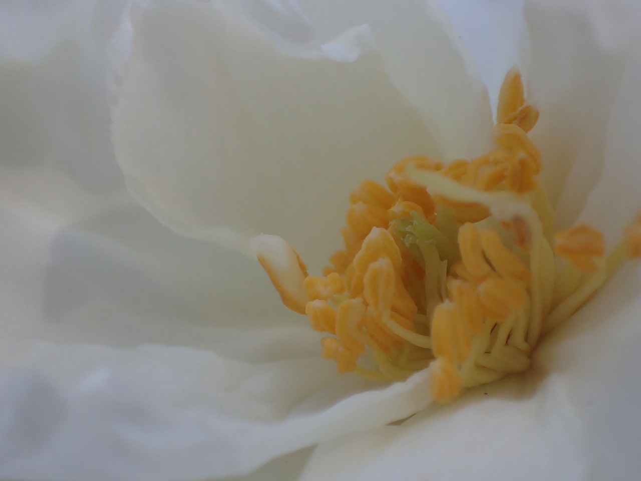 PC220839.jpg