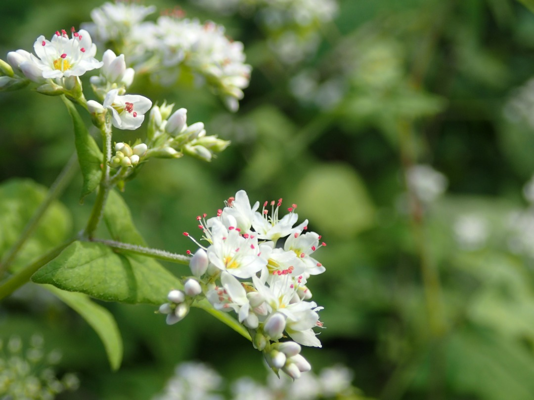 PA180610.JPG