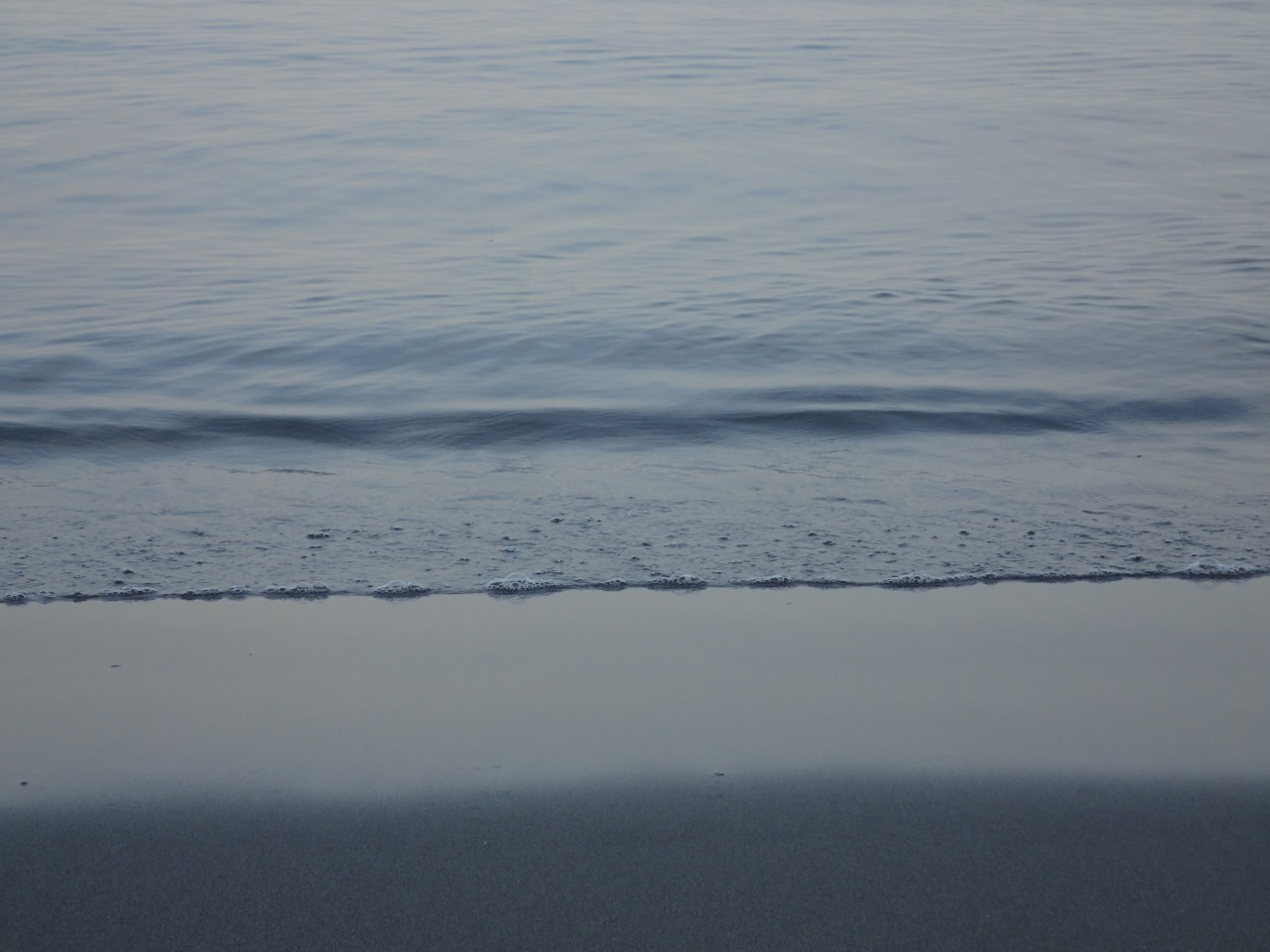 P8110161.JPG