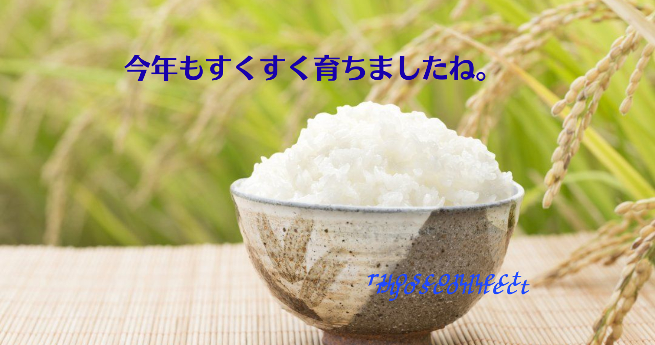 今年もすくすく育ちましたね。note.png