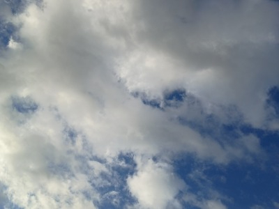 IMG_20261029_071944311.jpg