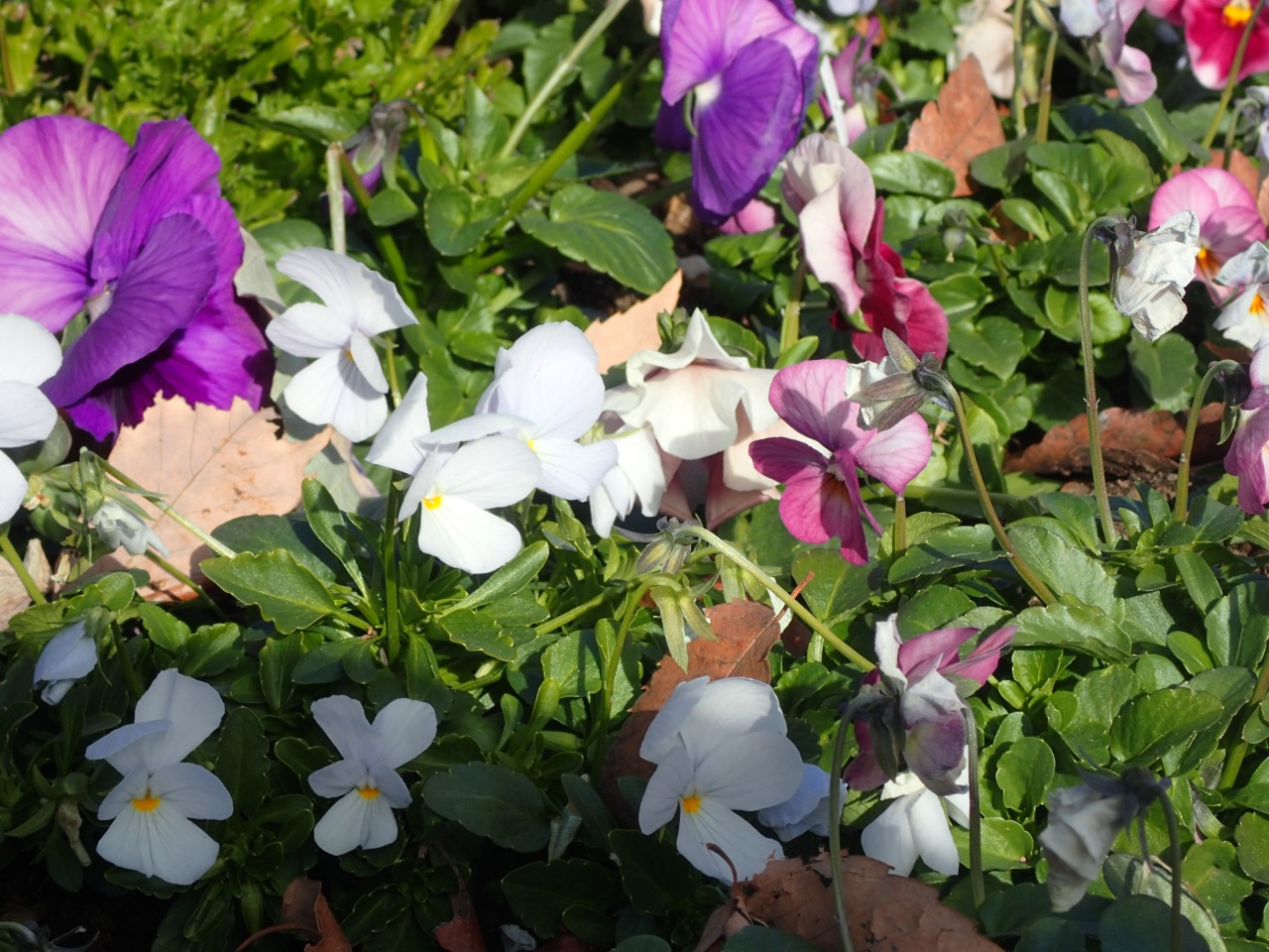 PC220911.JPG