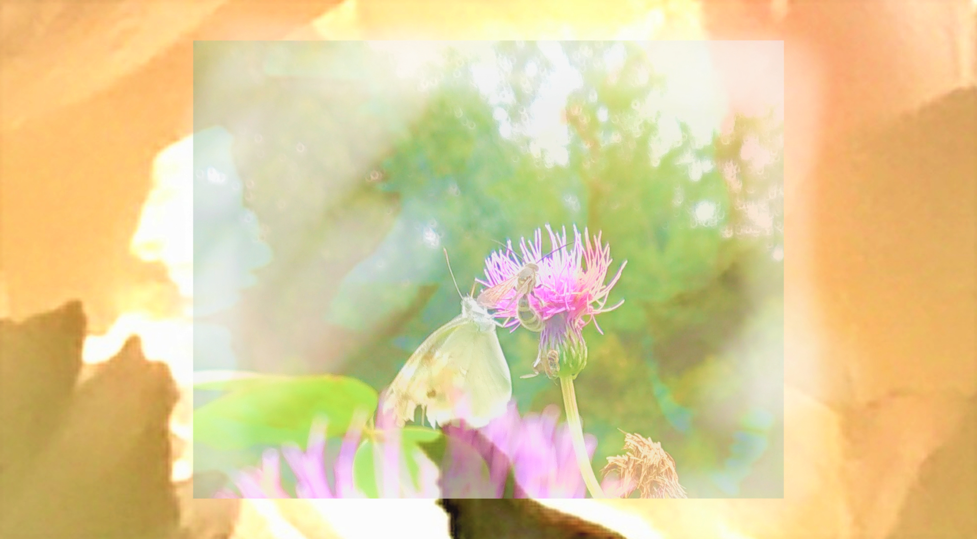 sketch-1688195641164 (4).png