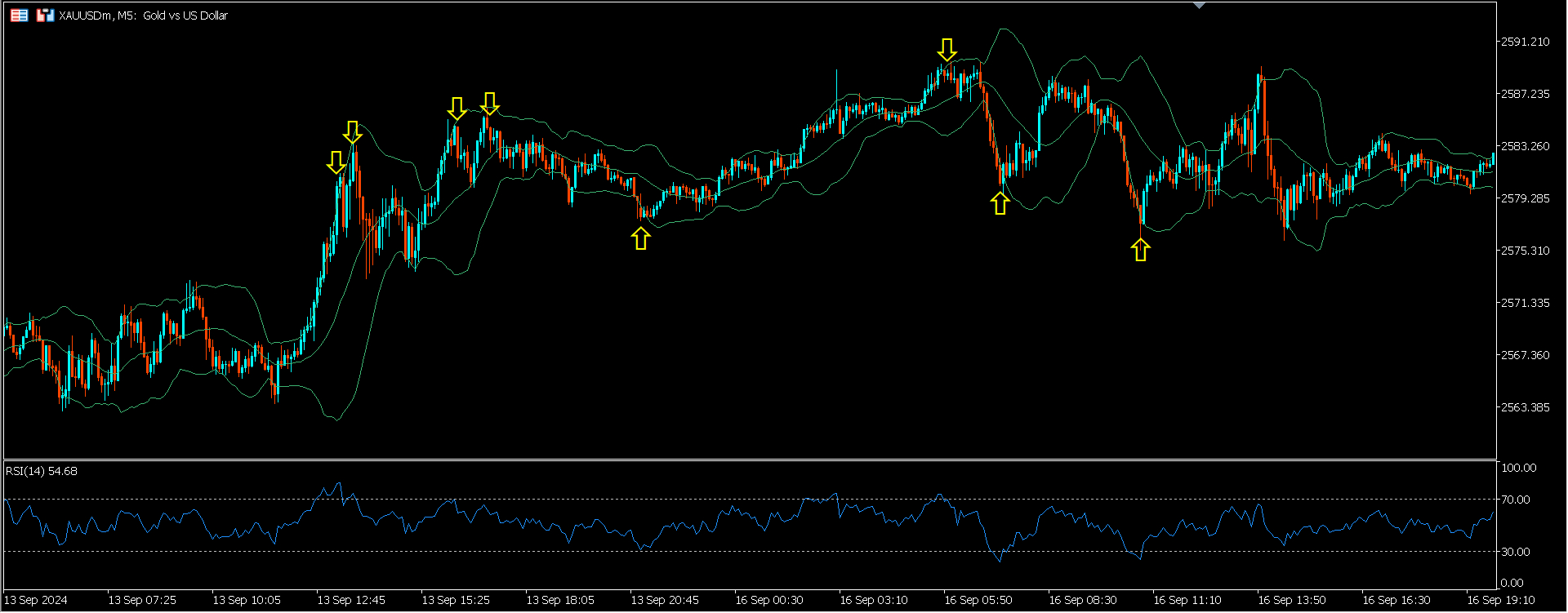 スクリーンショット (24).png