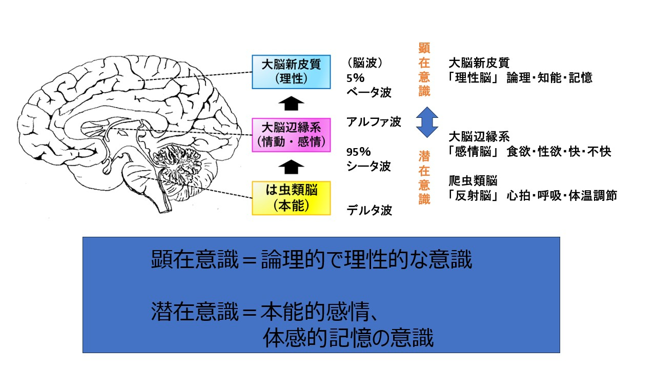 Slide9.jpg