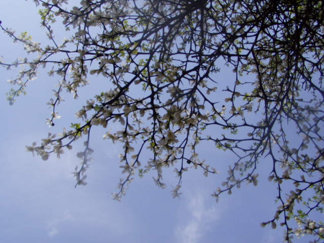 P1010209.JPG
