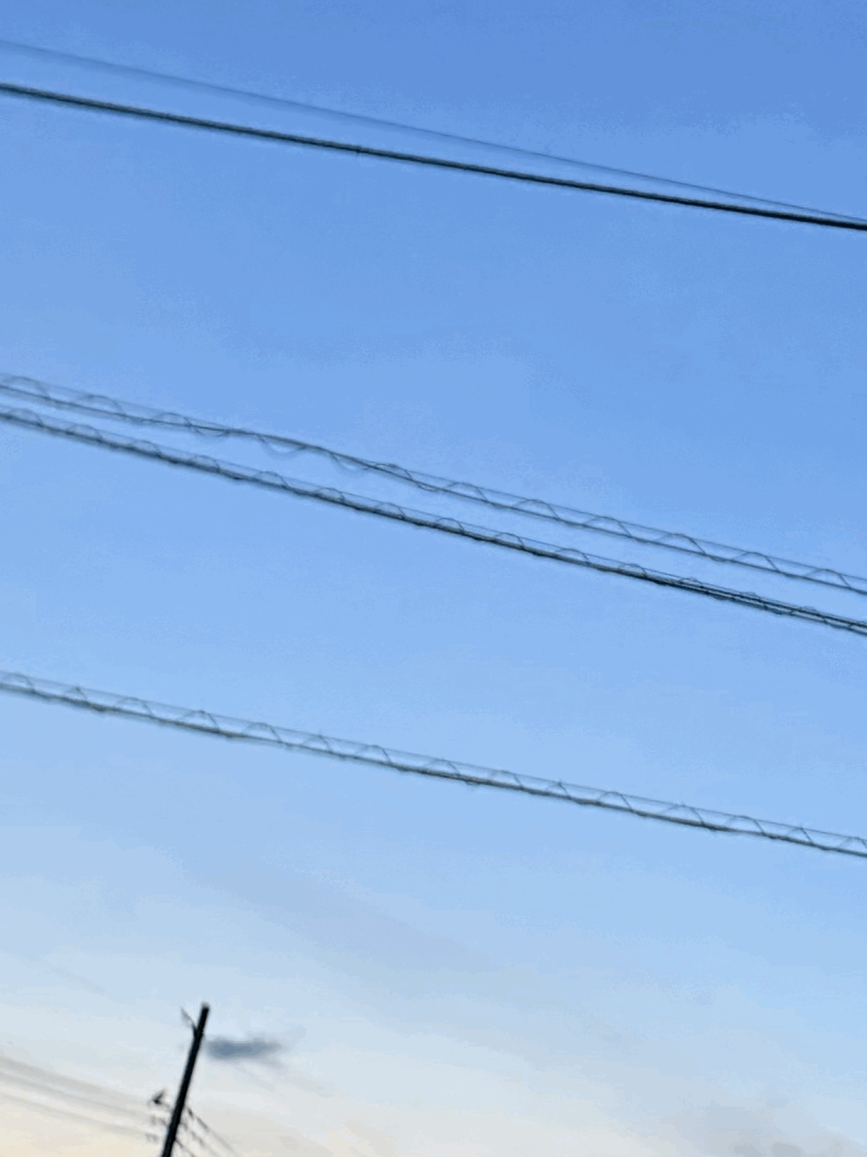 tempImageEsUq6d.gif