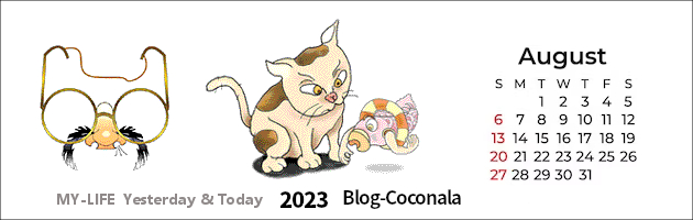 08.png
