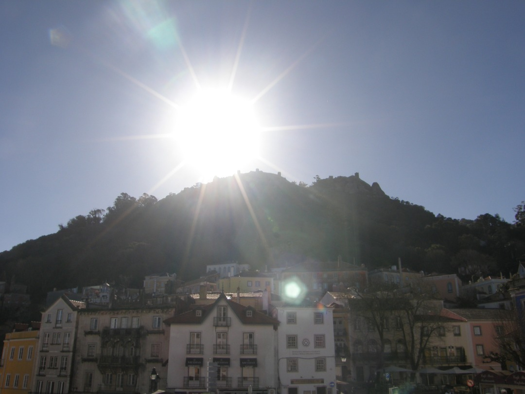 P1271950.JPG
