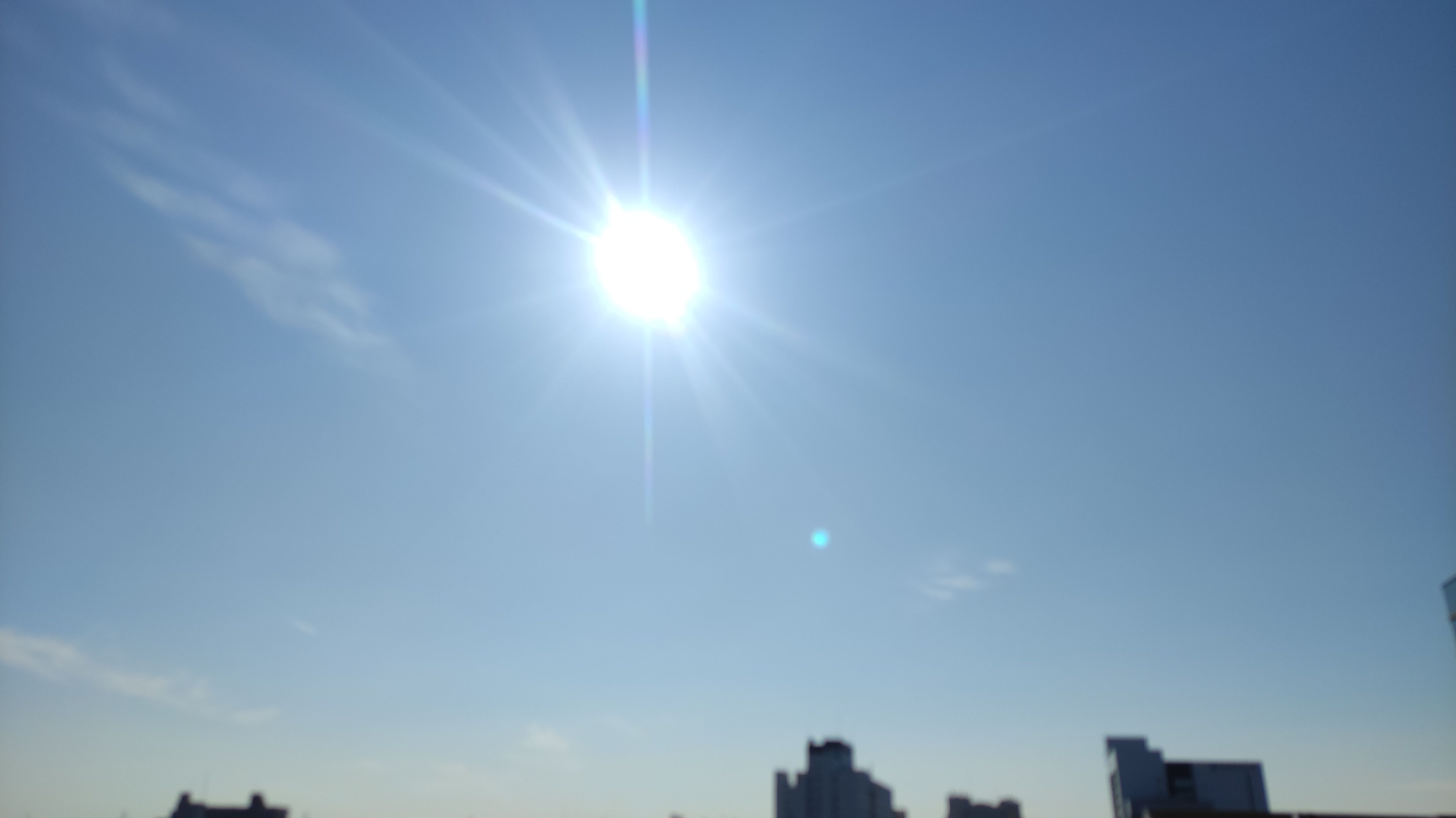IMG_20230721_073732.jpg