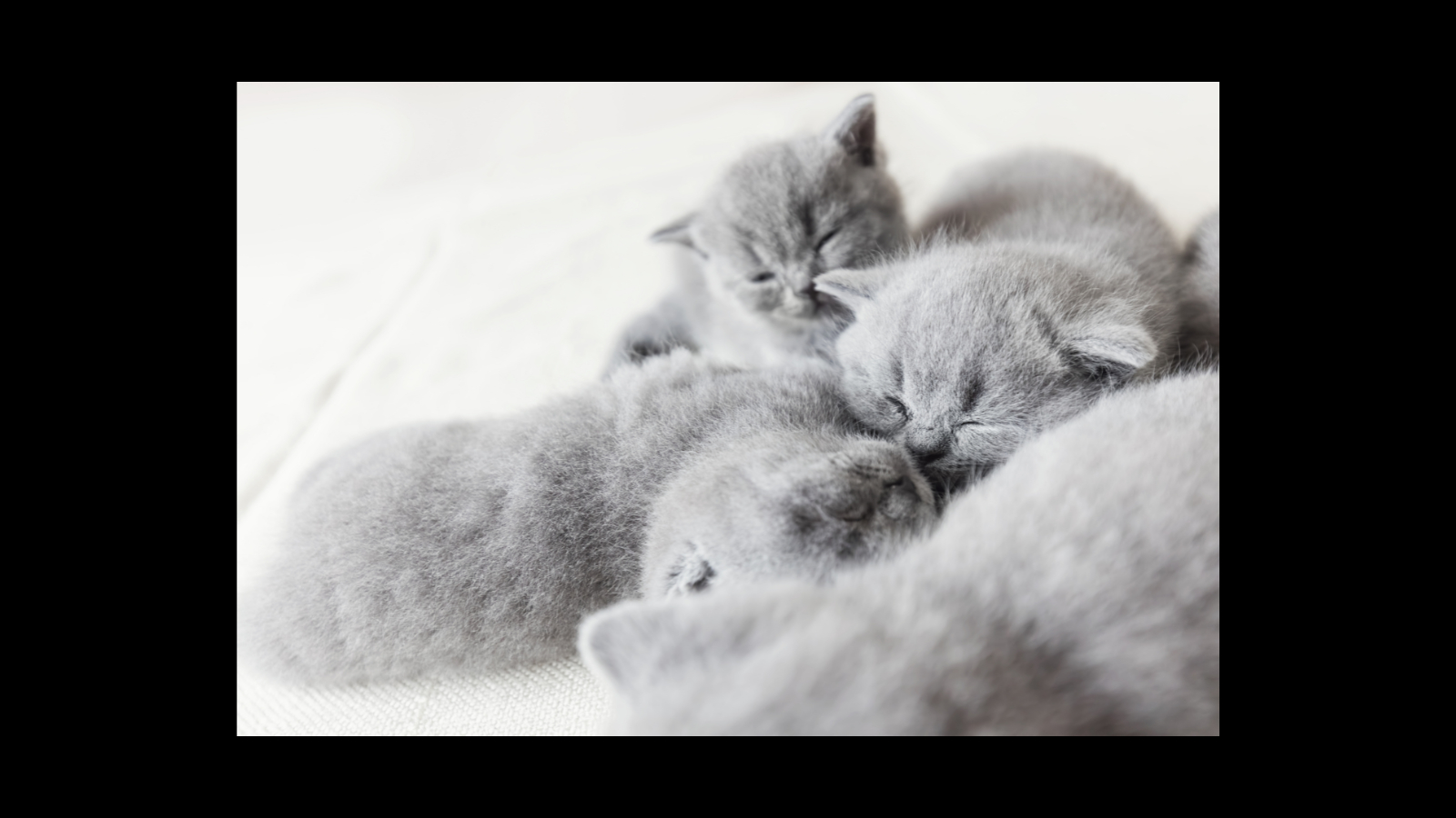 名称未設定のデザイン (48).png