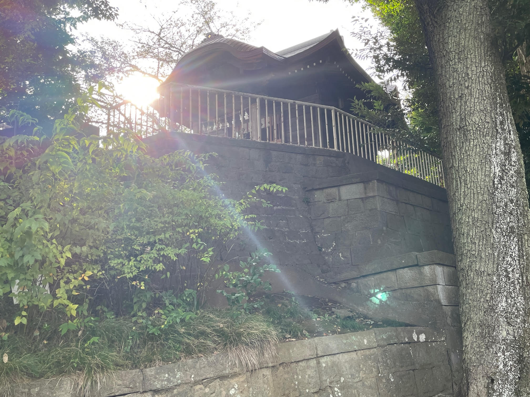 愛宕山.jpg