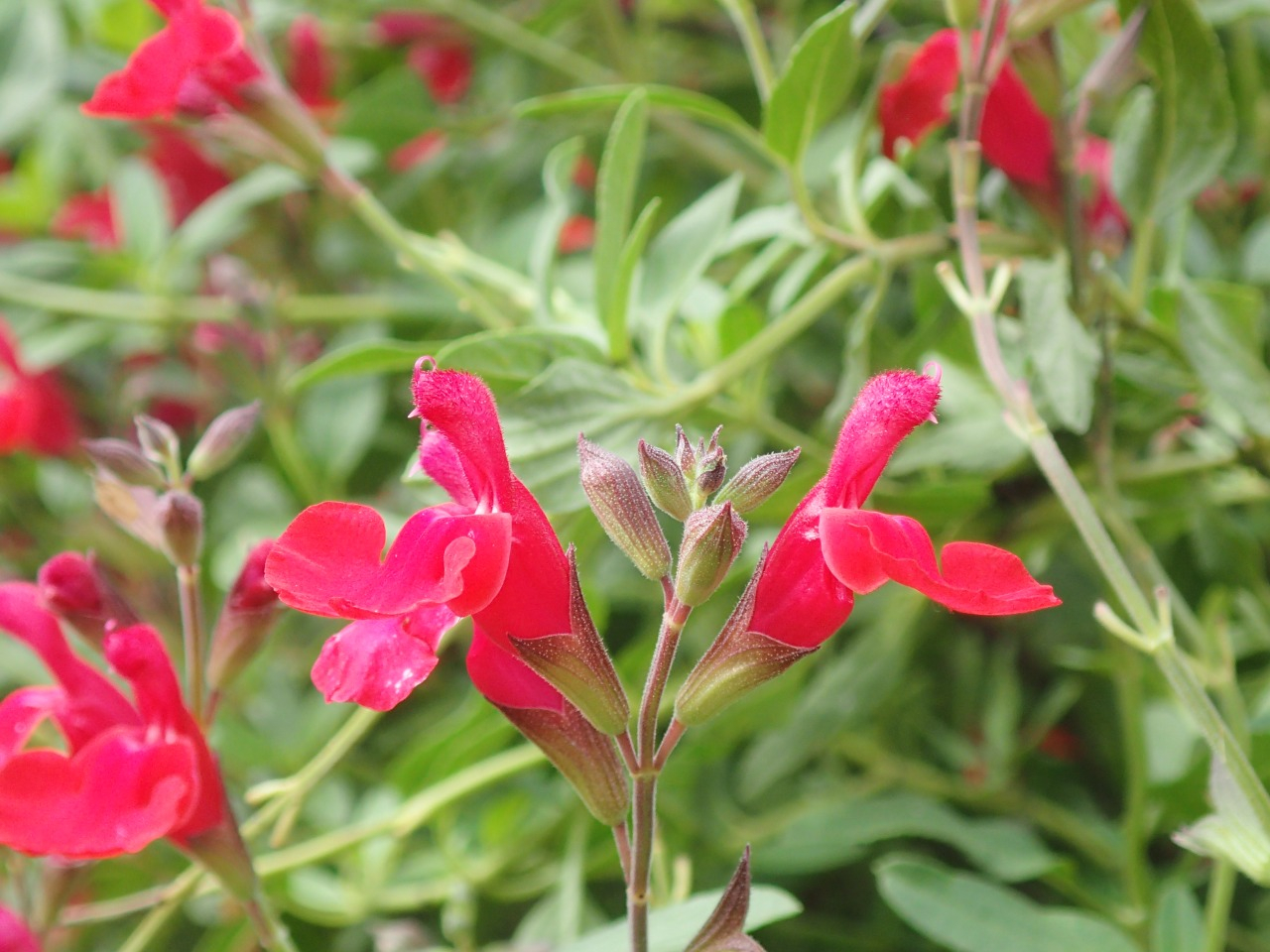 PA120430.JPG