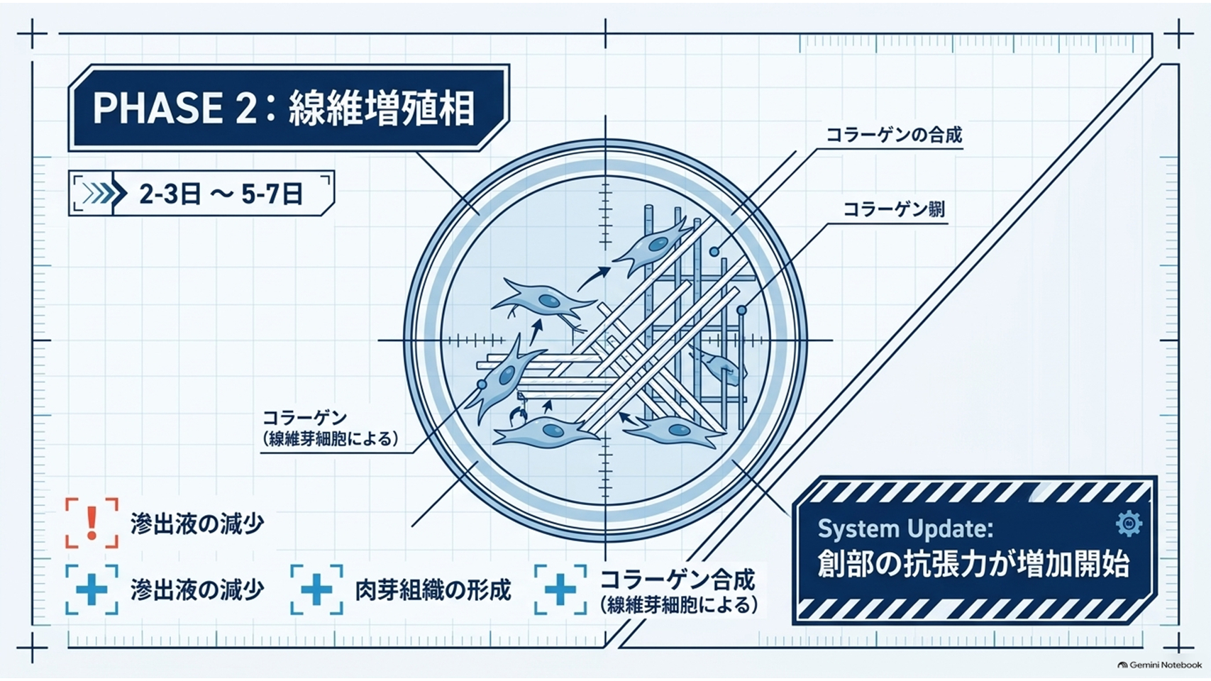スライド5.PNG